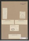 Stictodiscus sp. (de-Toni-Nr.: Genus 205) Zeichnungen Sammlung Grunow Nr. 9075 (NHMW-BOT-W0378826)
